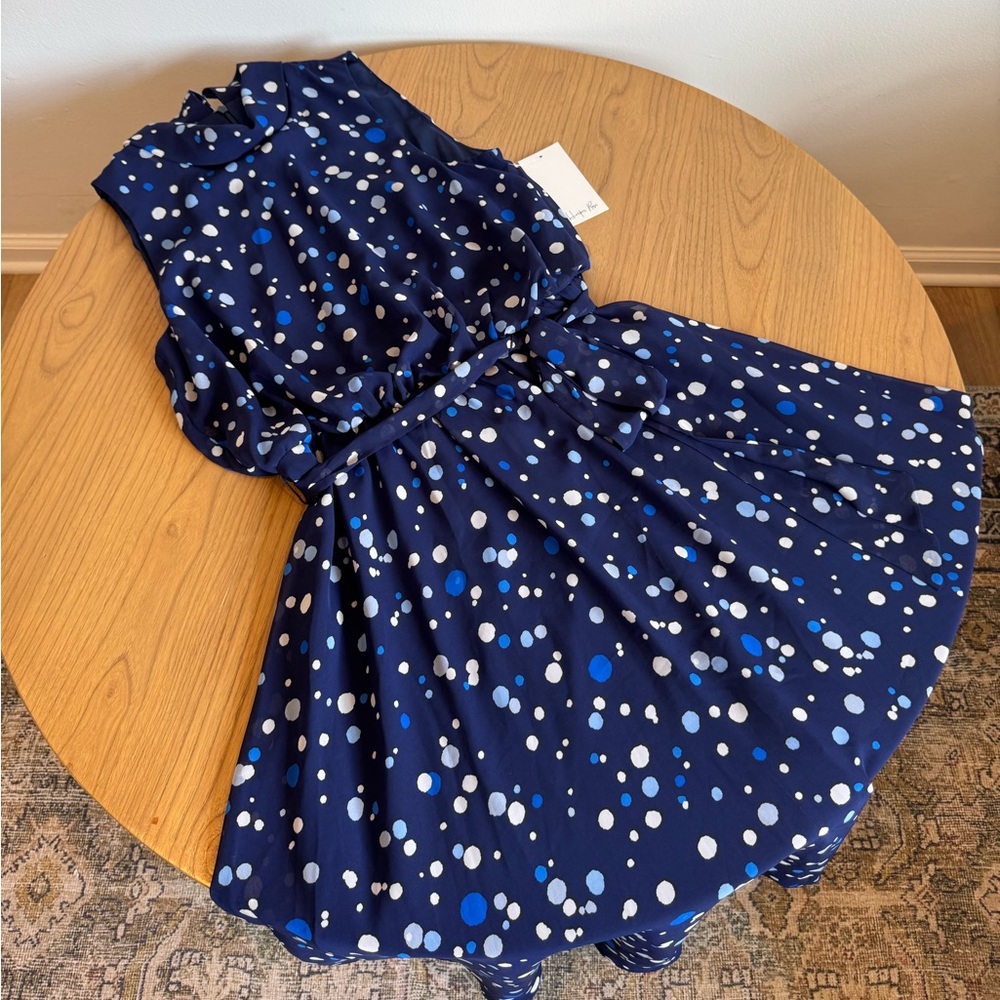 Chic Navy Polka Dot Dress